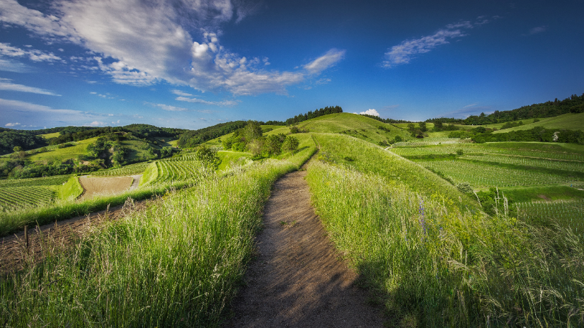 Wandelvakanties Duitsland